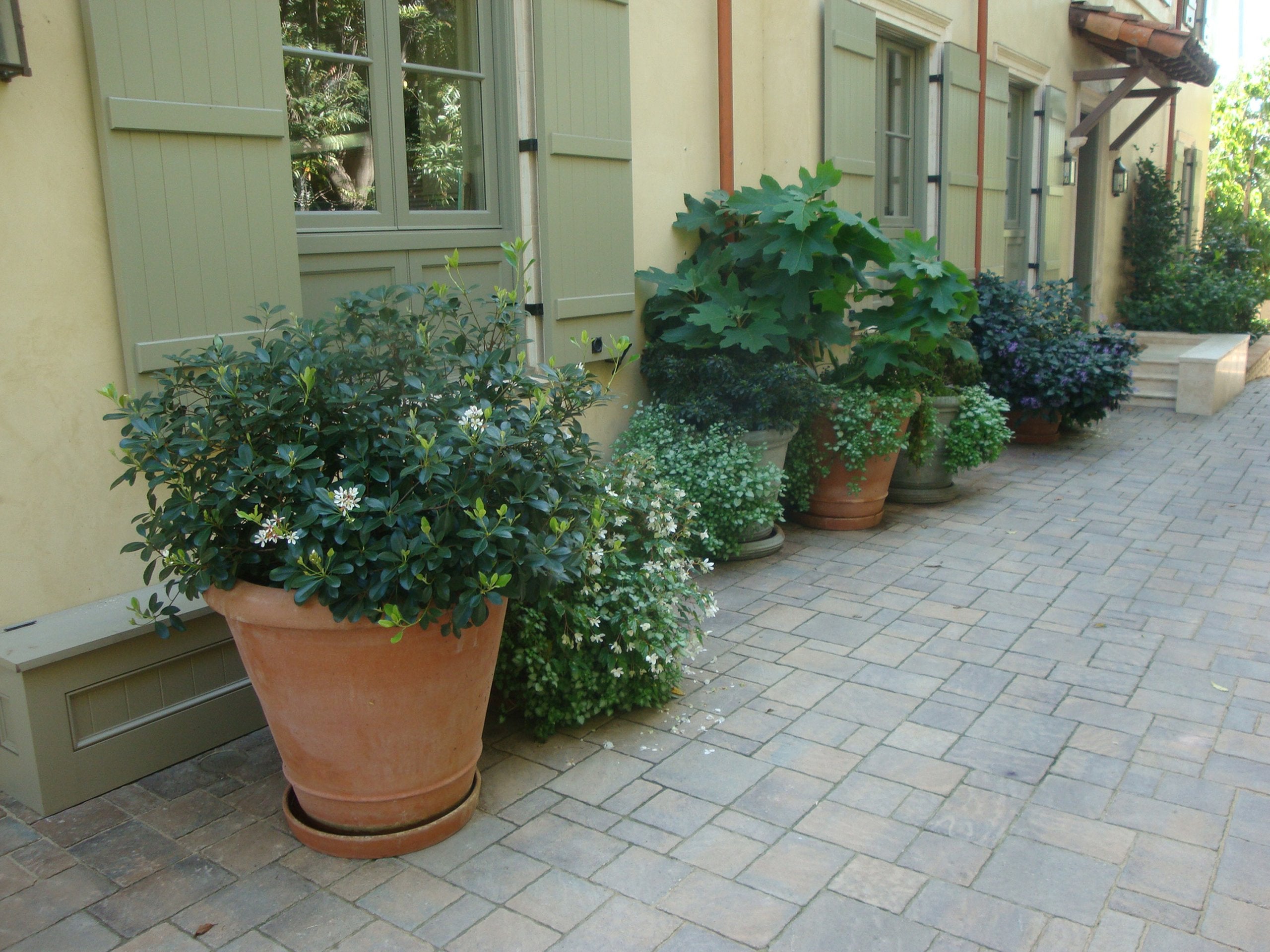 Brentwood Garden Estate