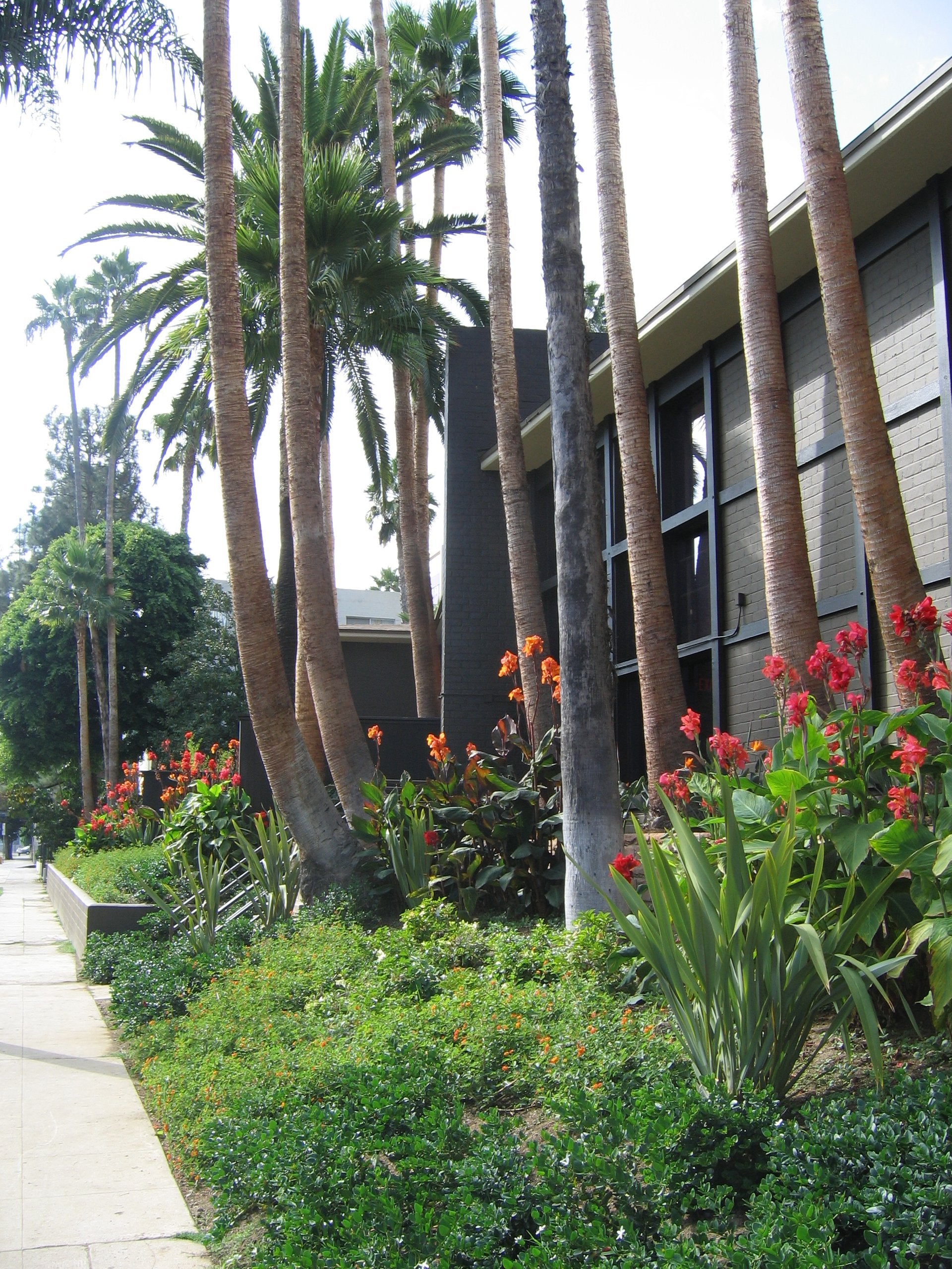 Hollywood Roosevelt