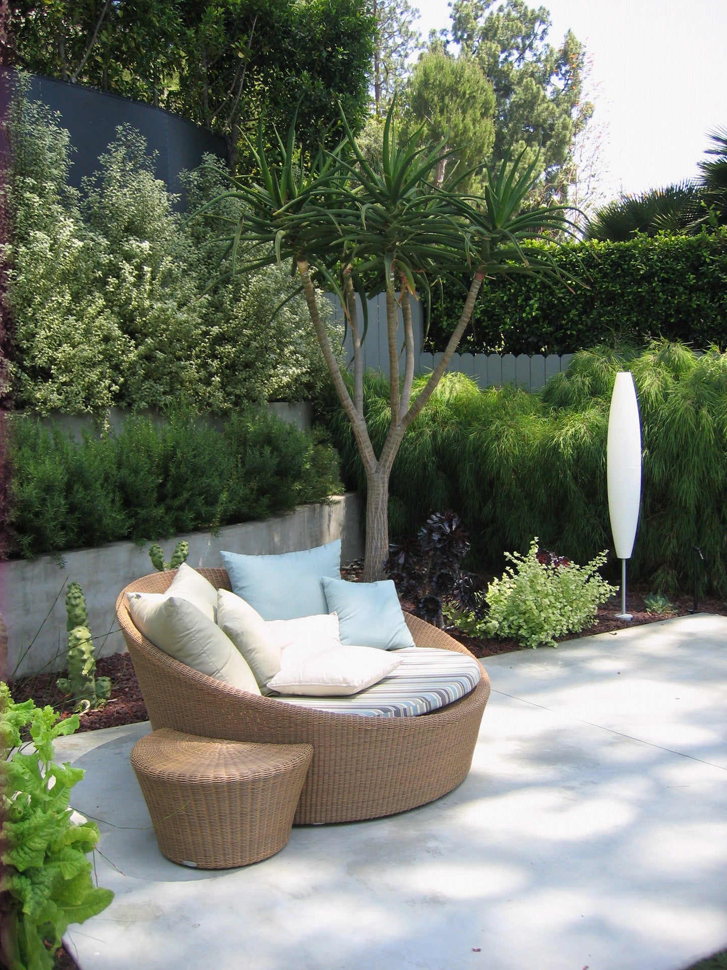 The Sculpted Garden
