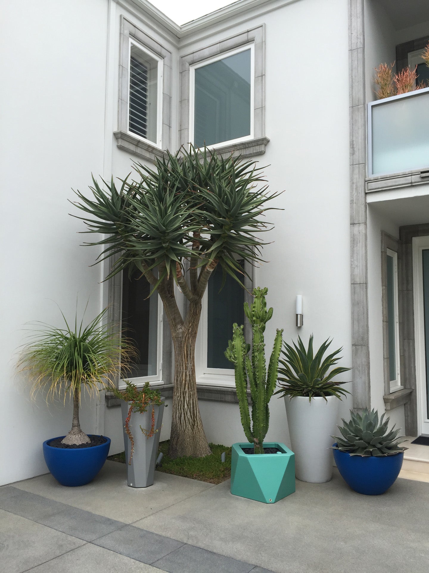 Beverly Hills Blue