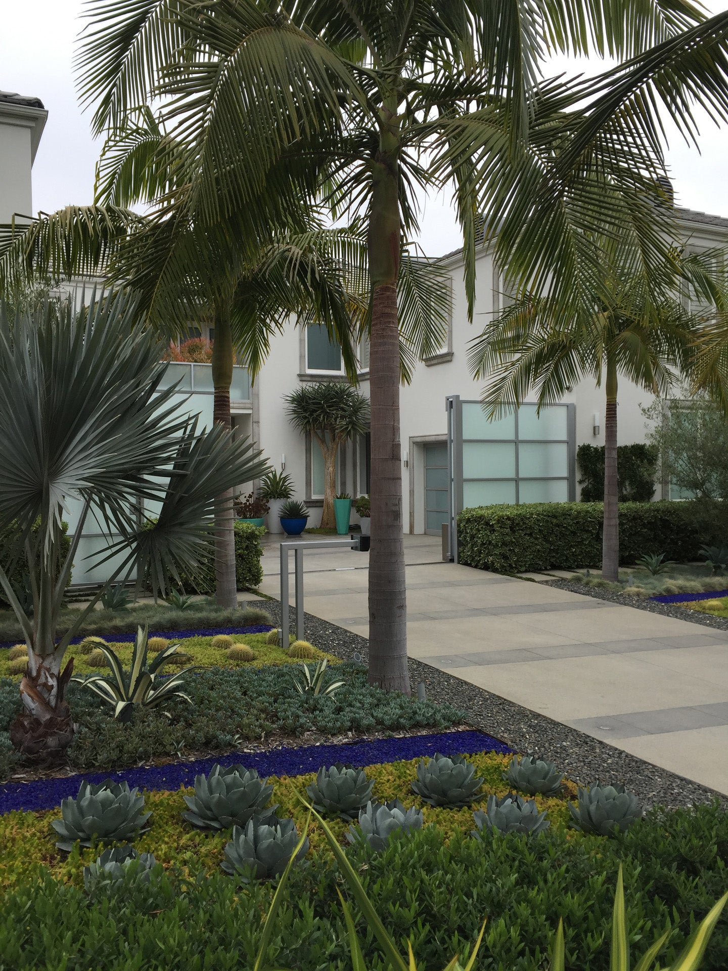 Beverly Hills Blue