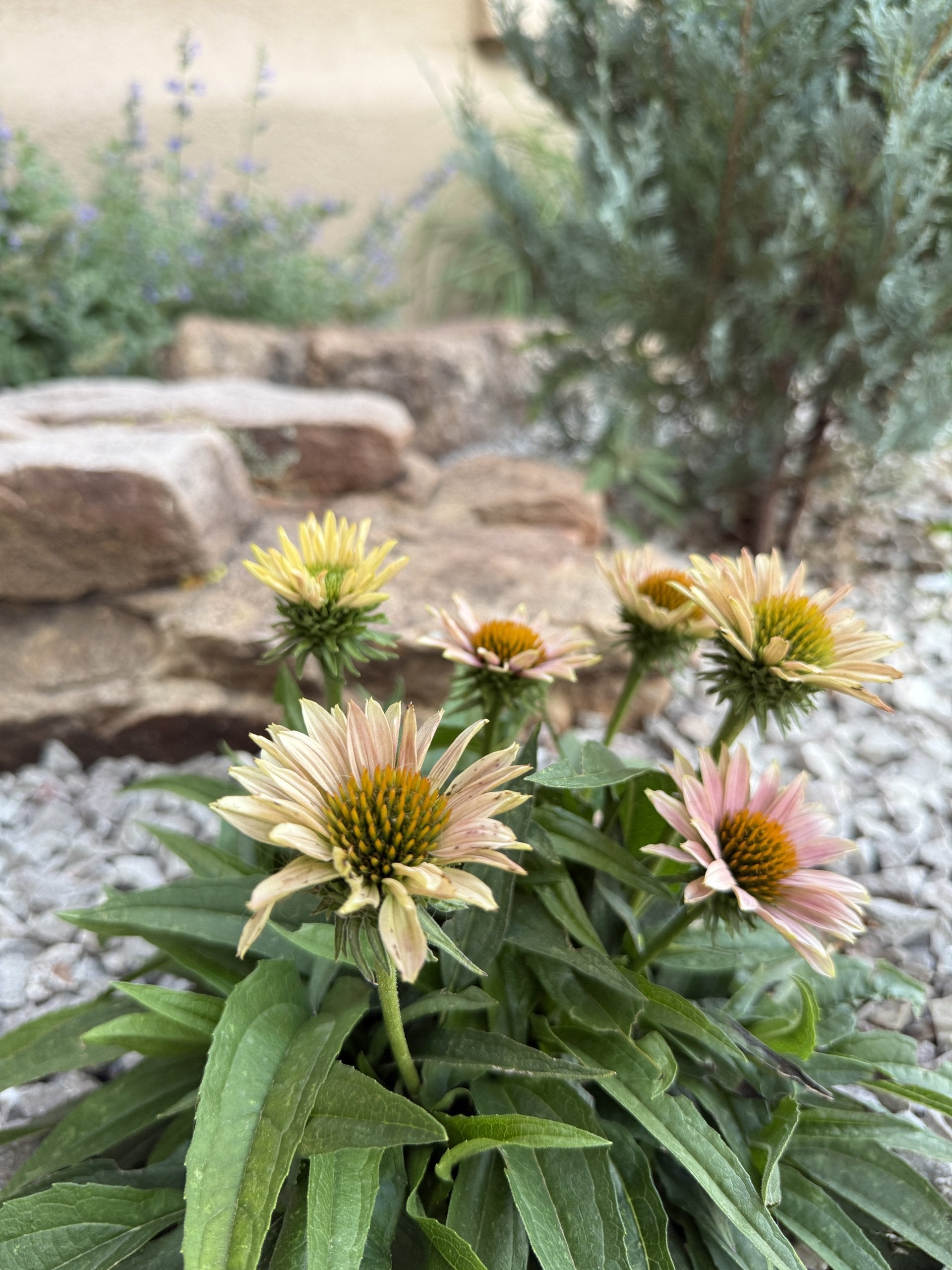 Sante Fe Garden Residence