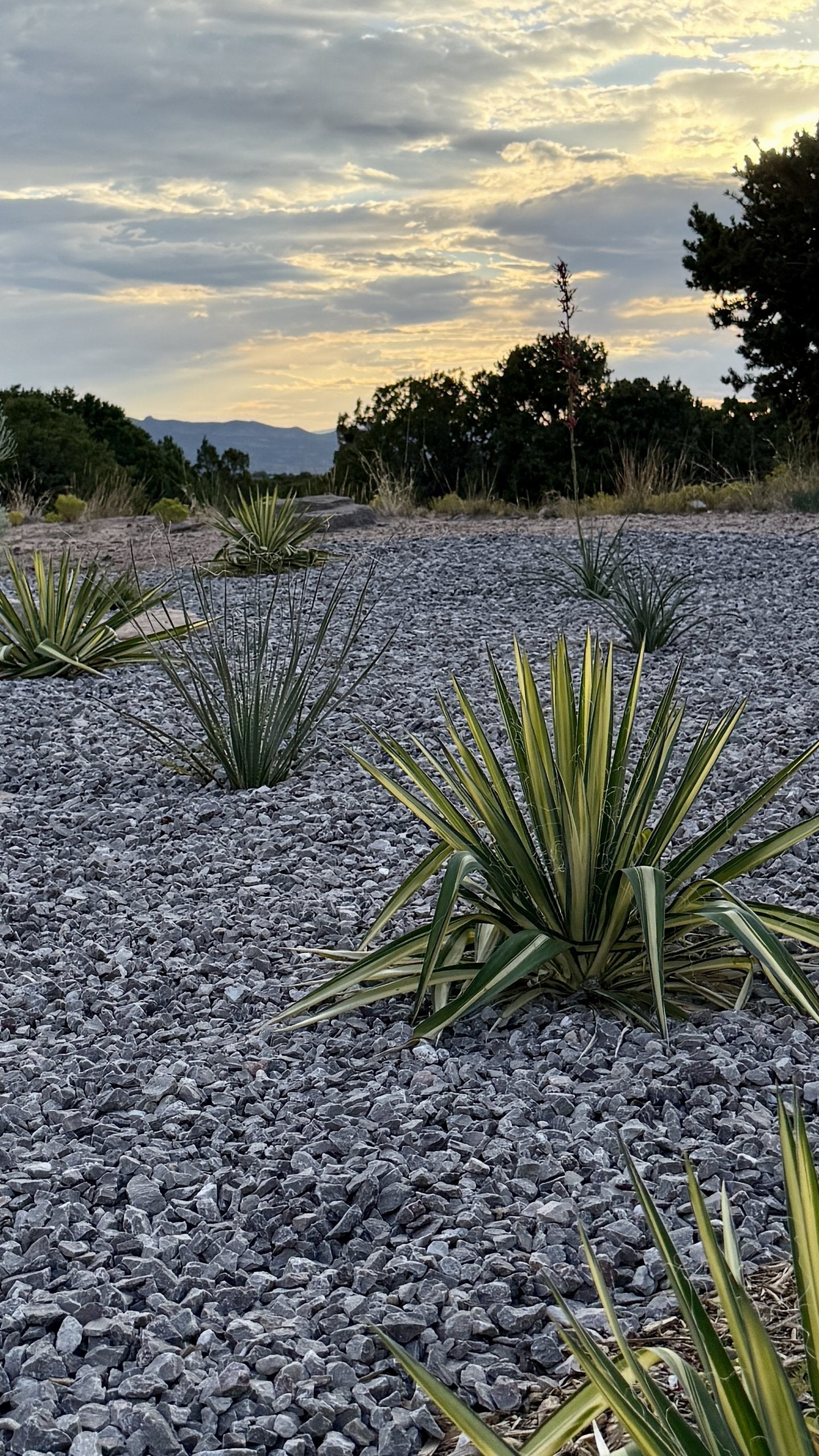 Sante Fe Garden Residence