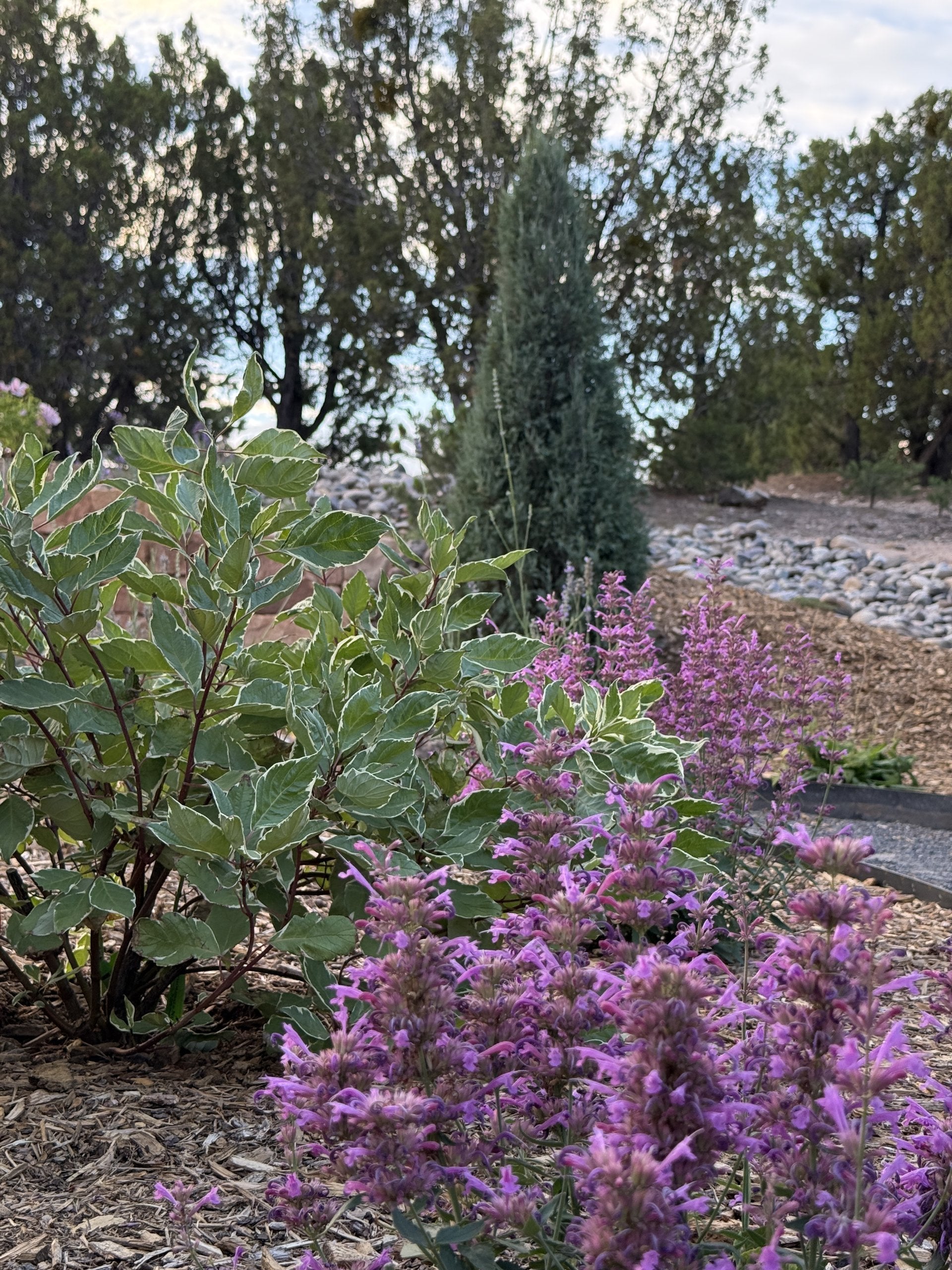 Sante Fe Garden Residence