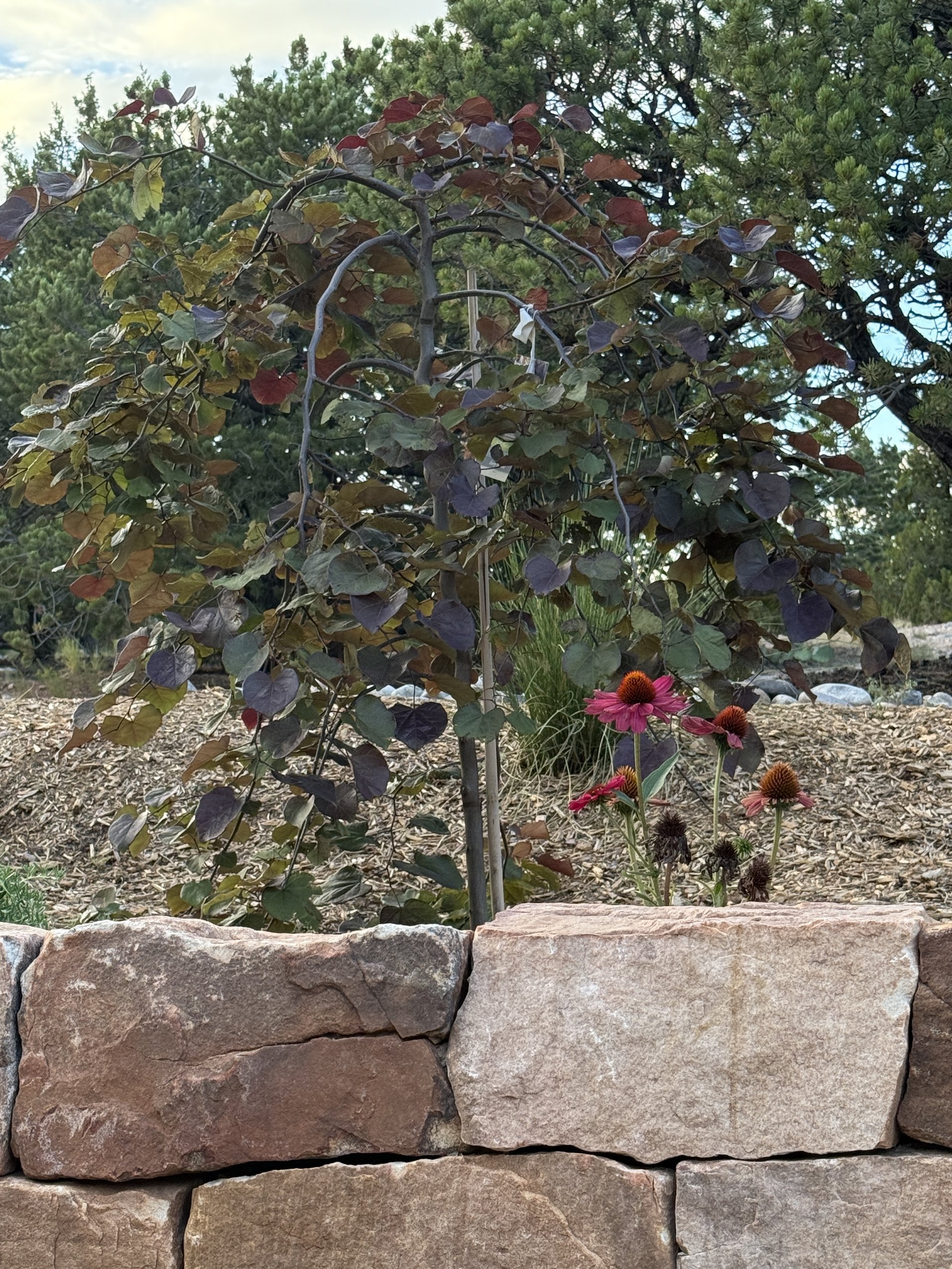 Sante Fe Garden Residence