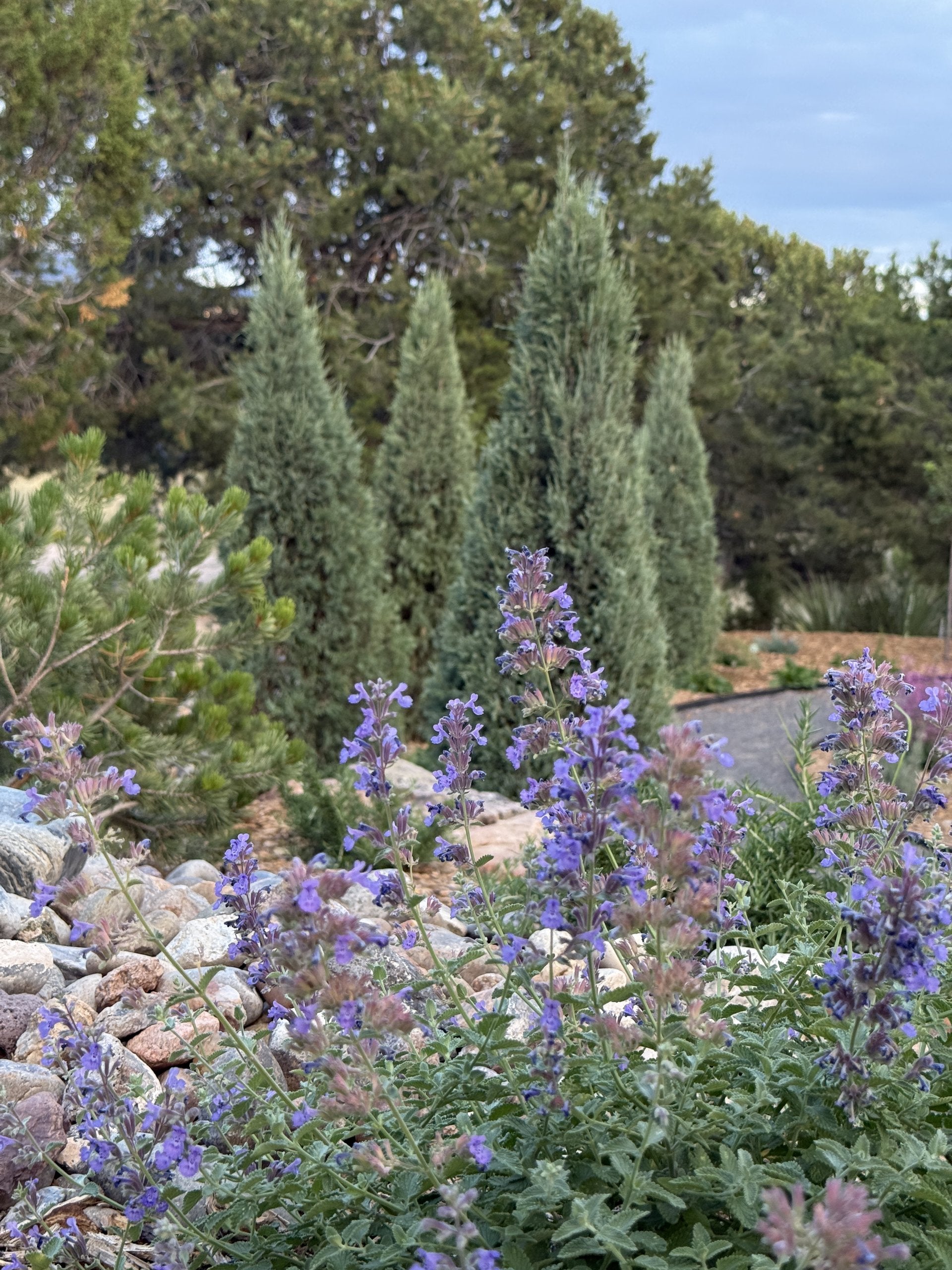 Sante Fe Garden Residence