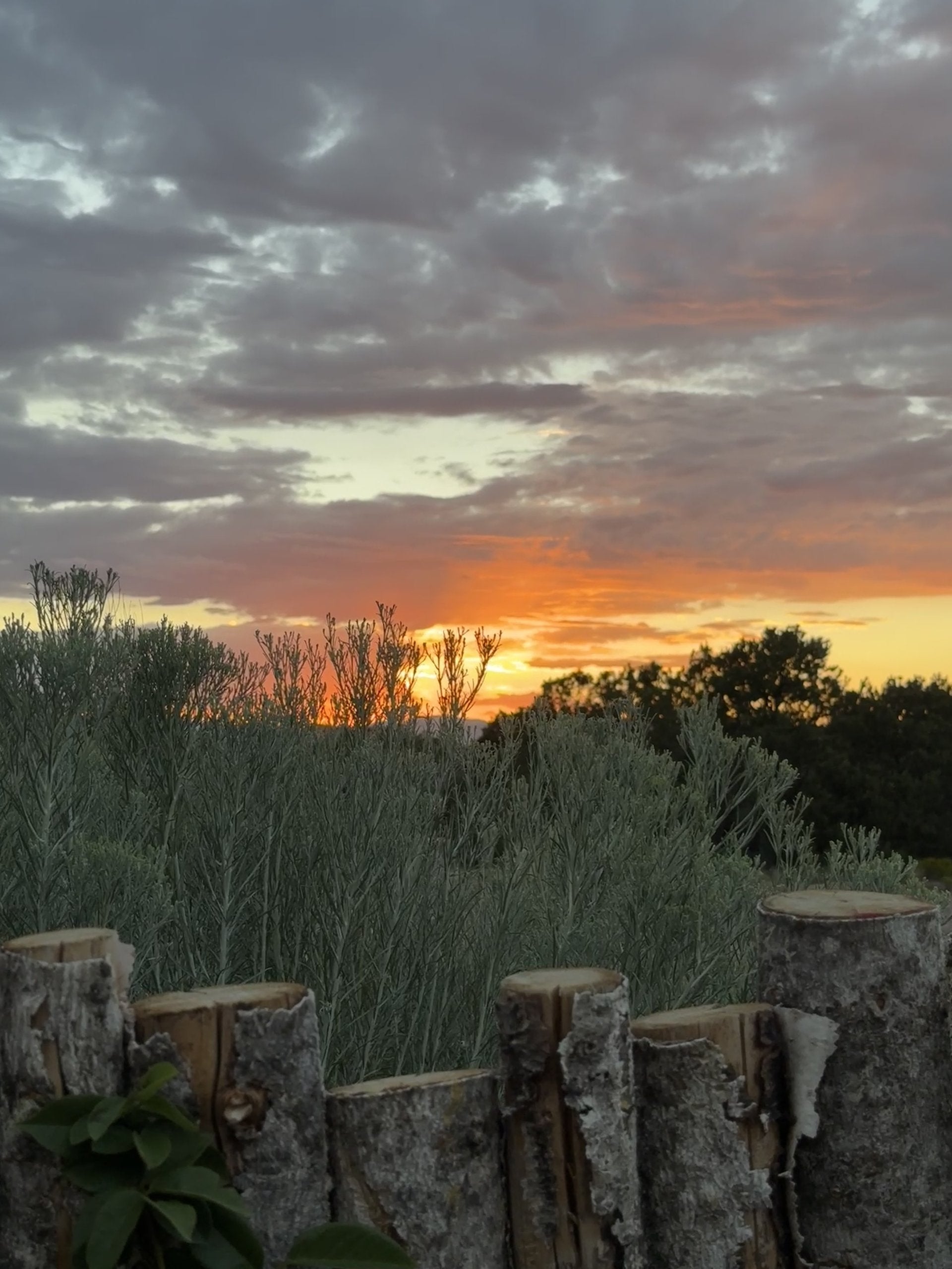 Sante Fe Garden Residence