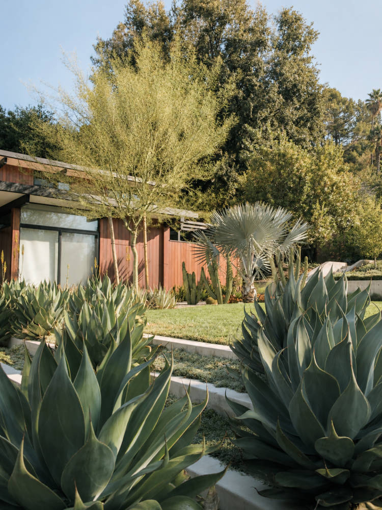 Mid-Century Garden Retreat