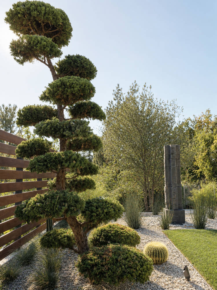 Mid-Century Garden Retreat
