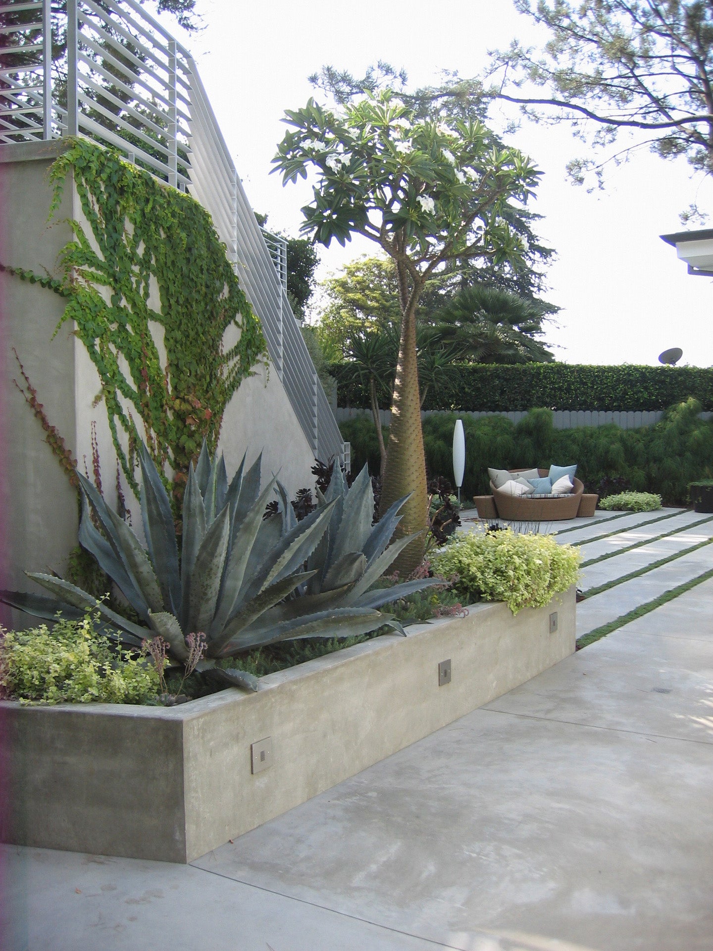 The Sculpted Garden