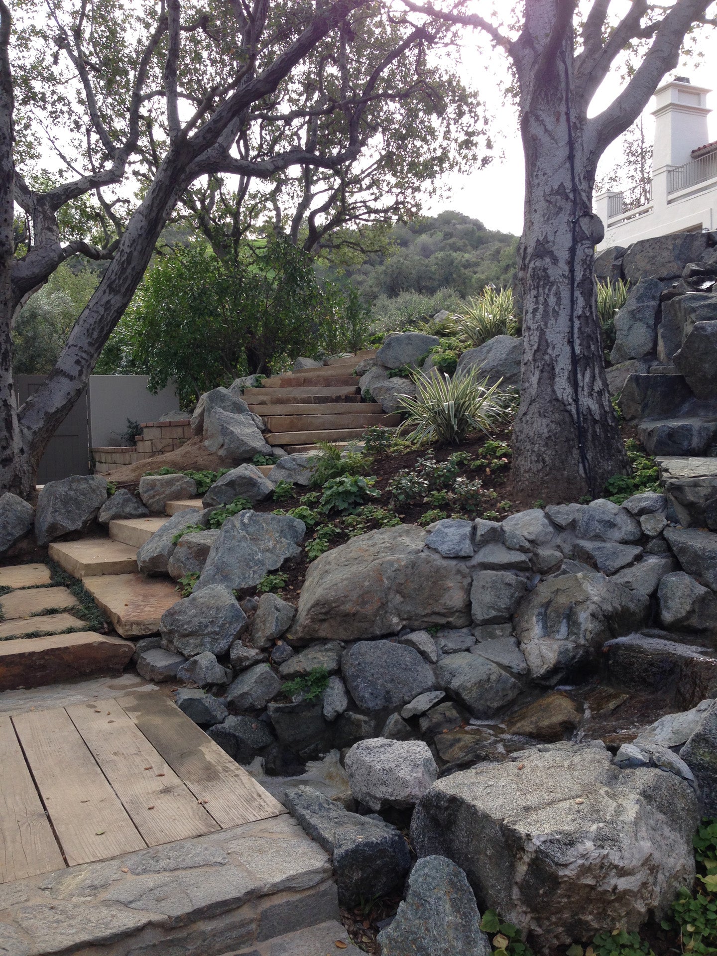 La Canada Garden