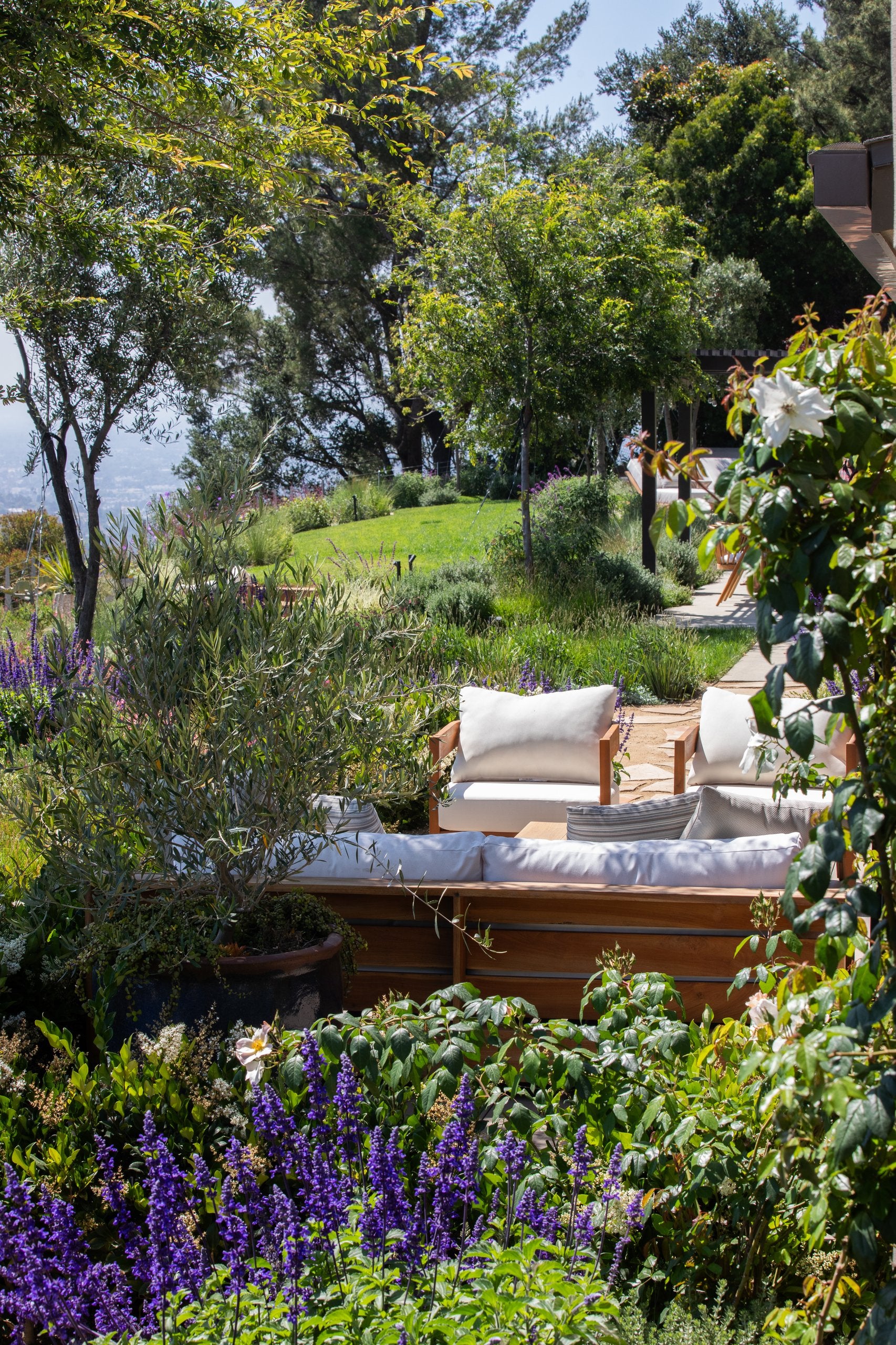 Torreyson Hillside Residence