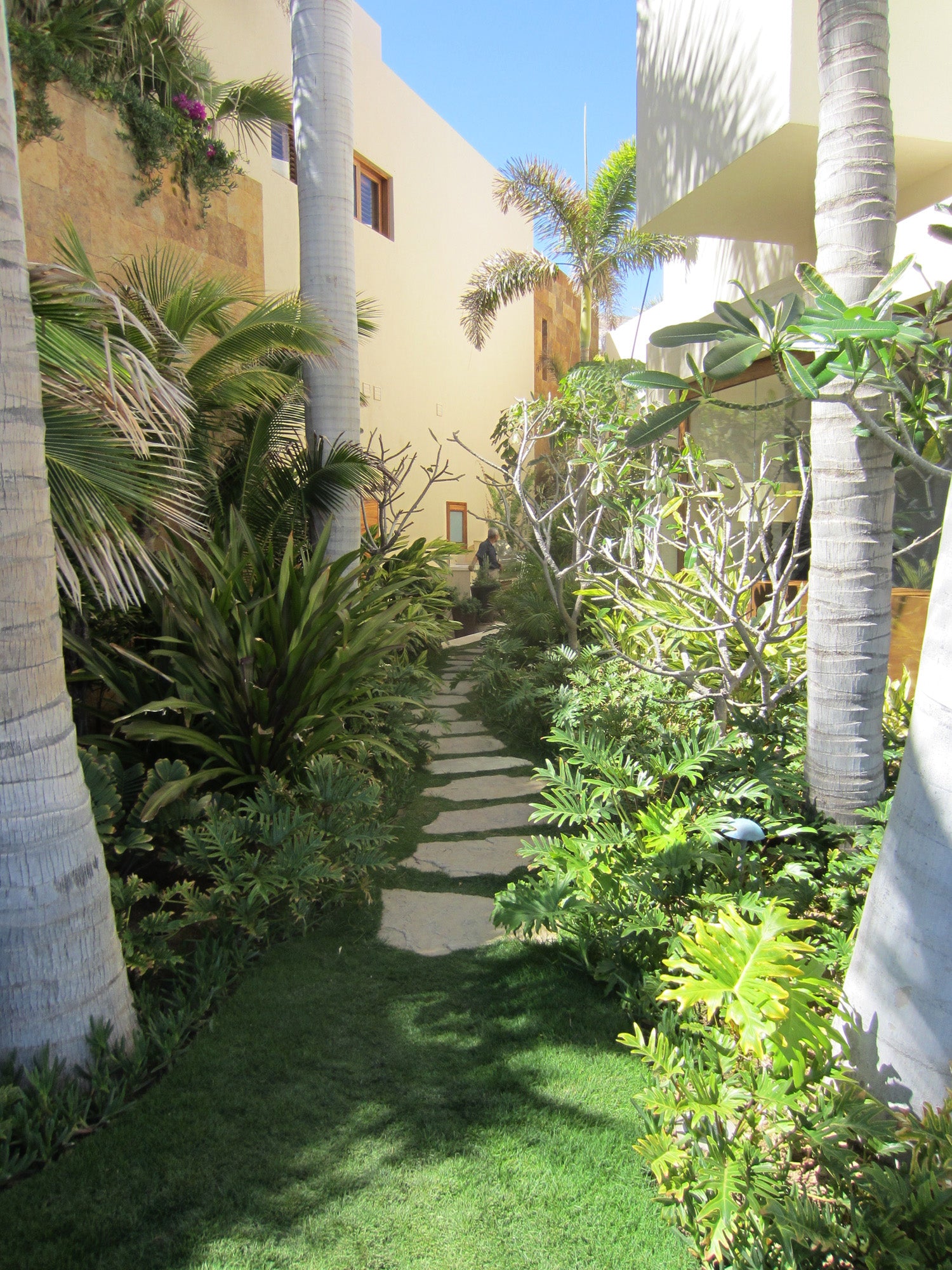 Ocean Courtyard Compound - Photo 16