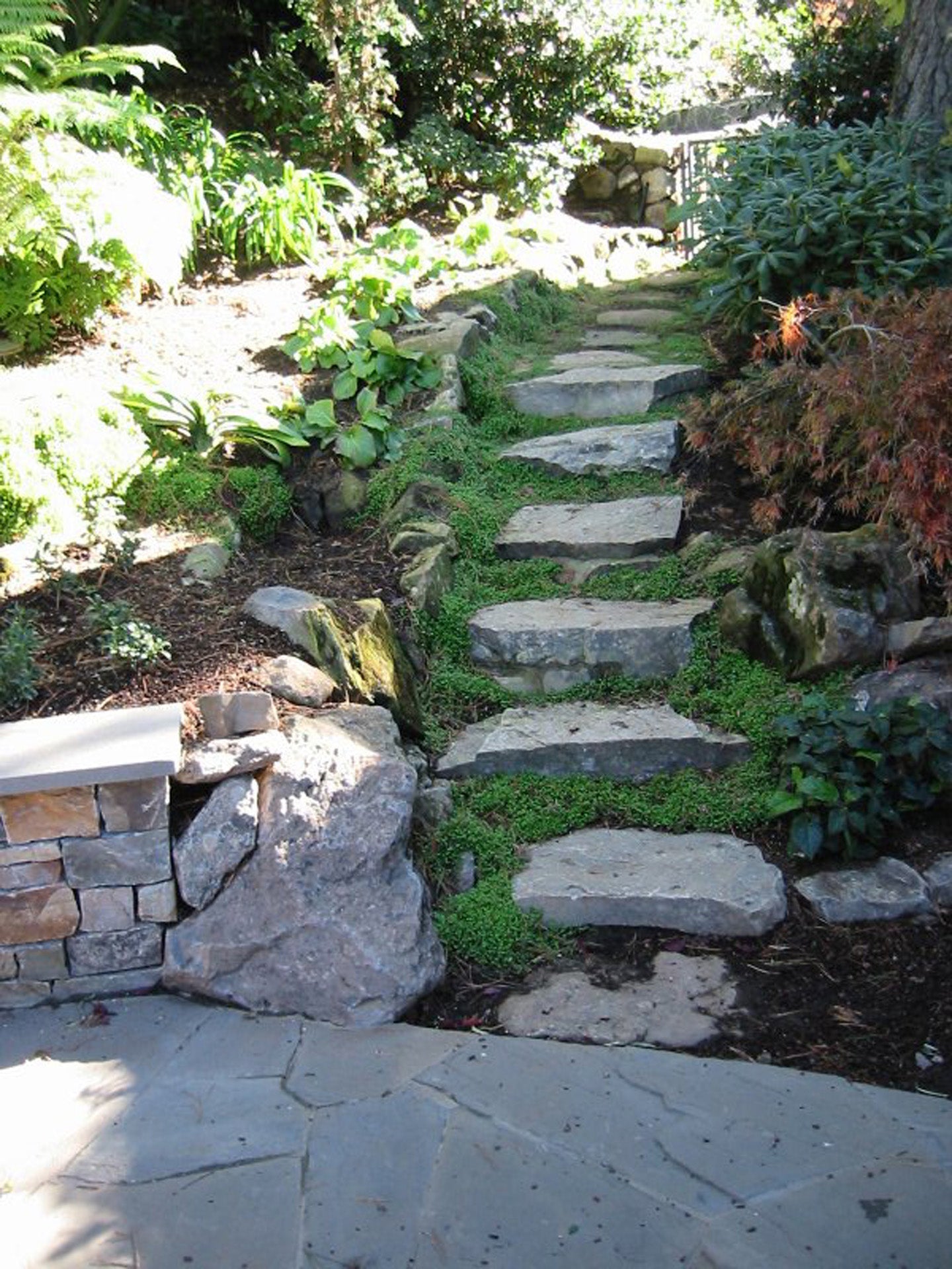 Residential Garden Collection | Contemporary Garden Studies | California & Beyond