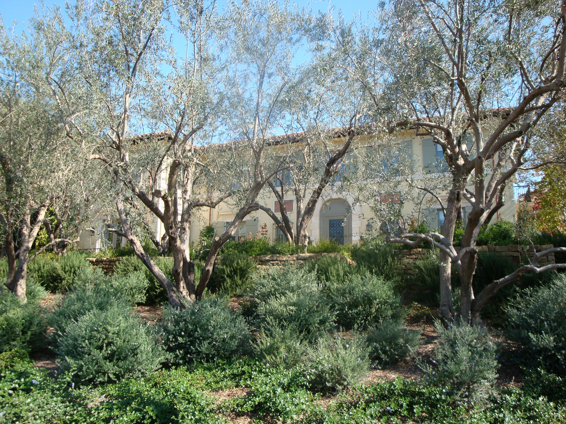 Burlingame
