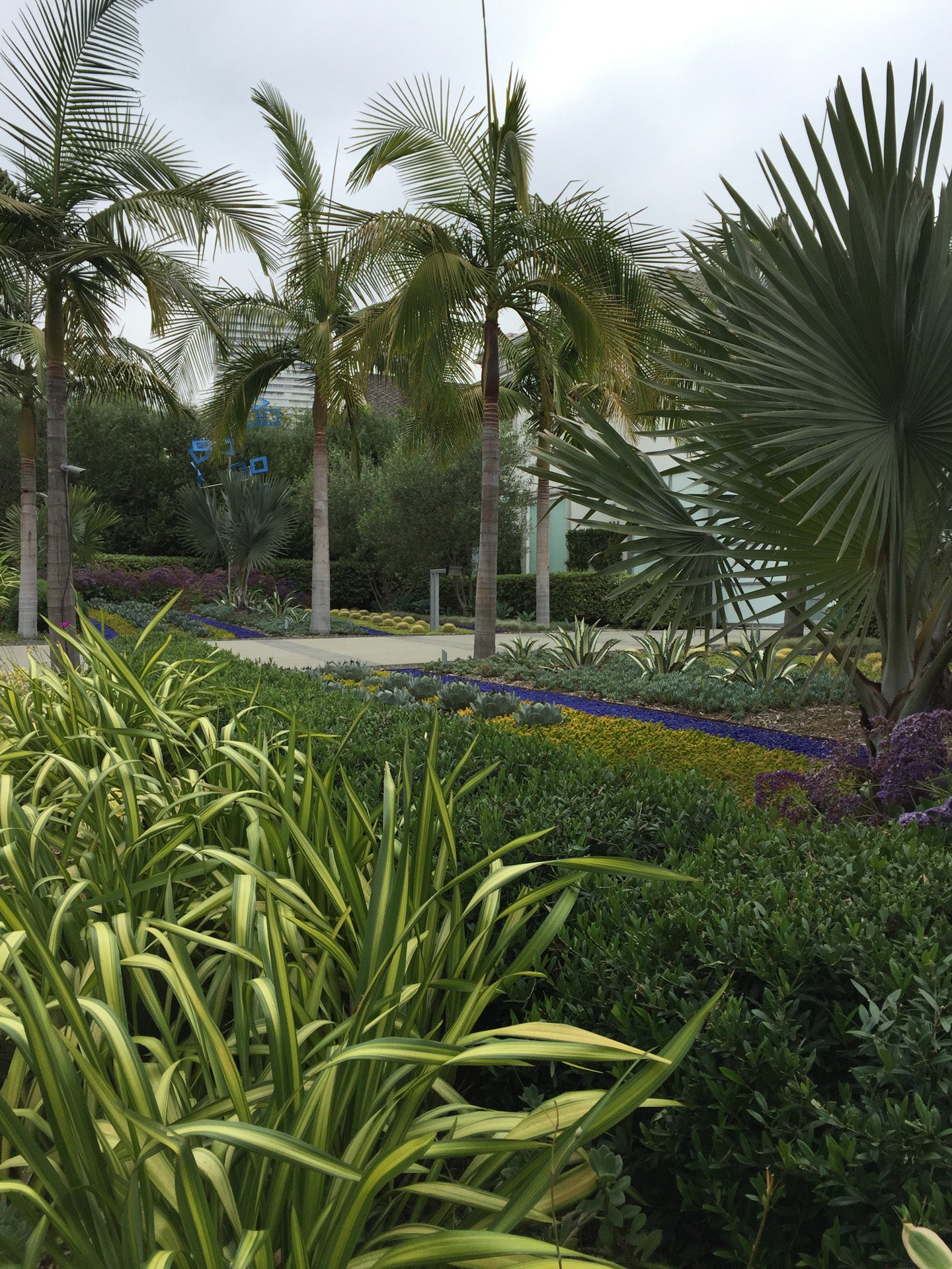 Beverly Hills Blue