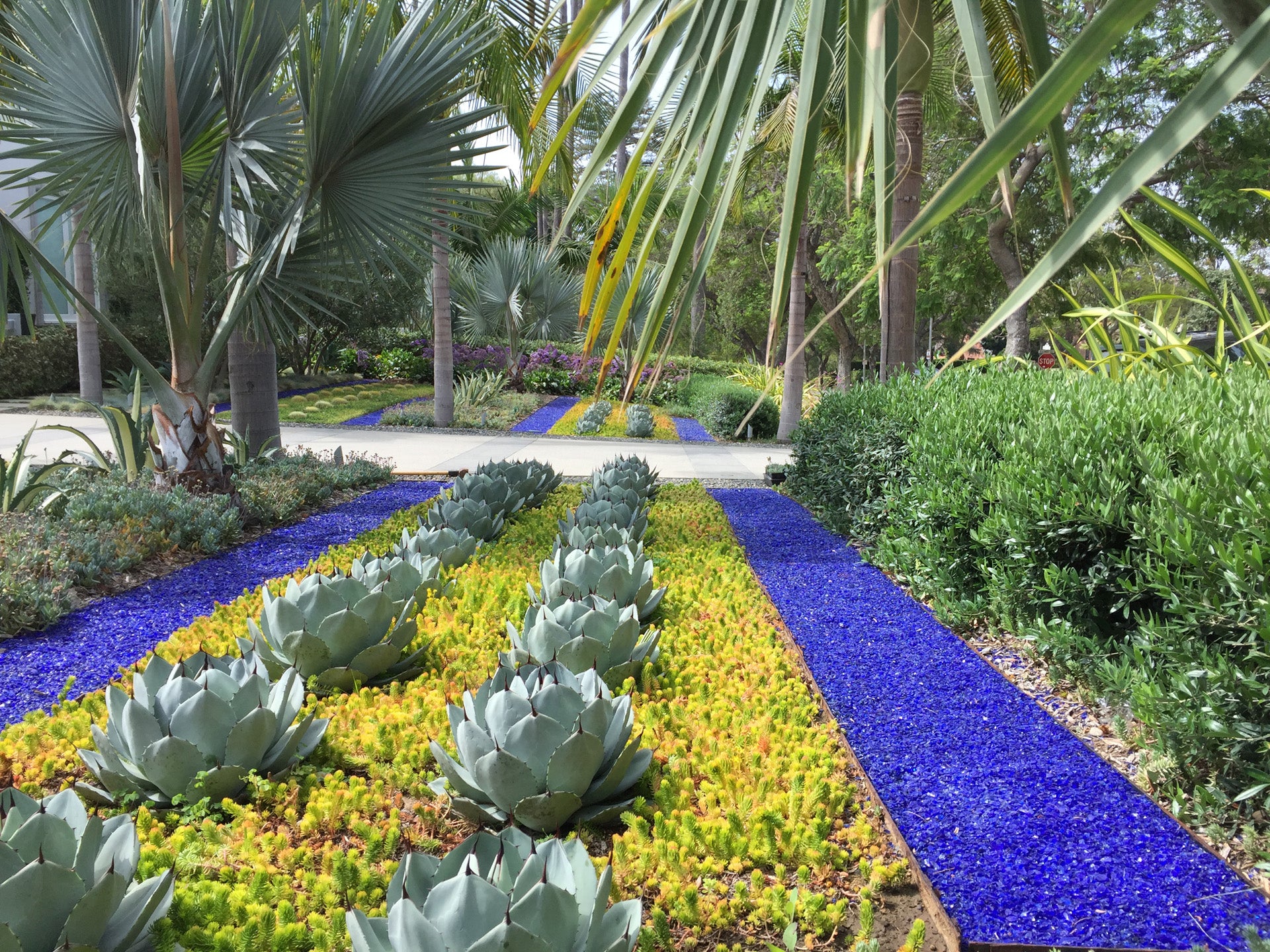 Beverly Hills Blue