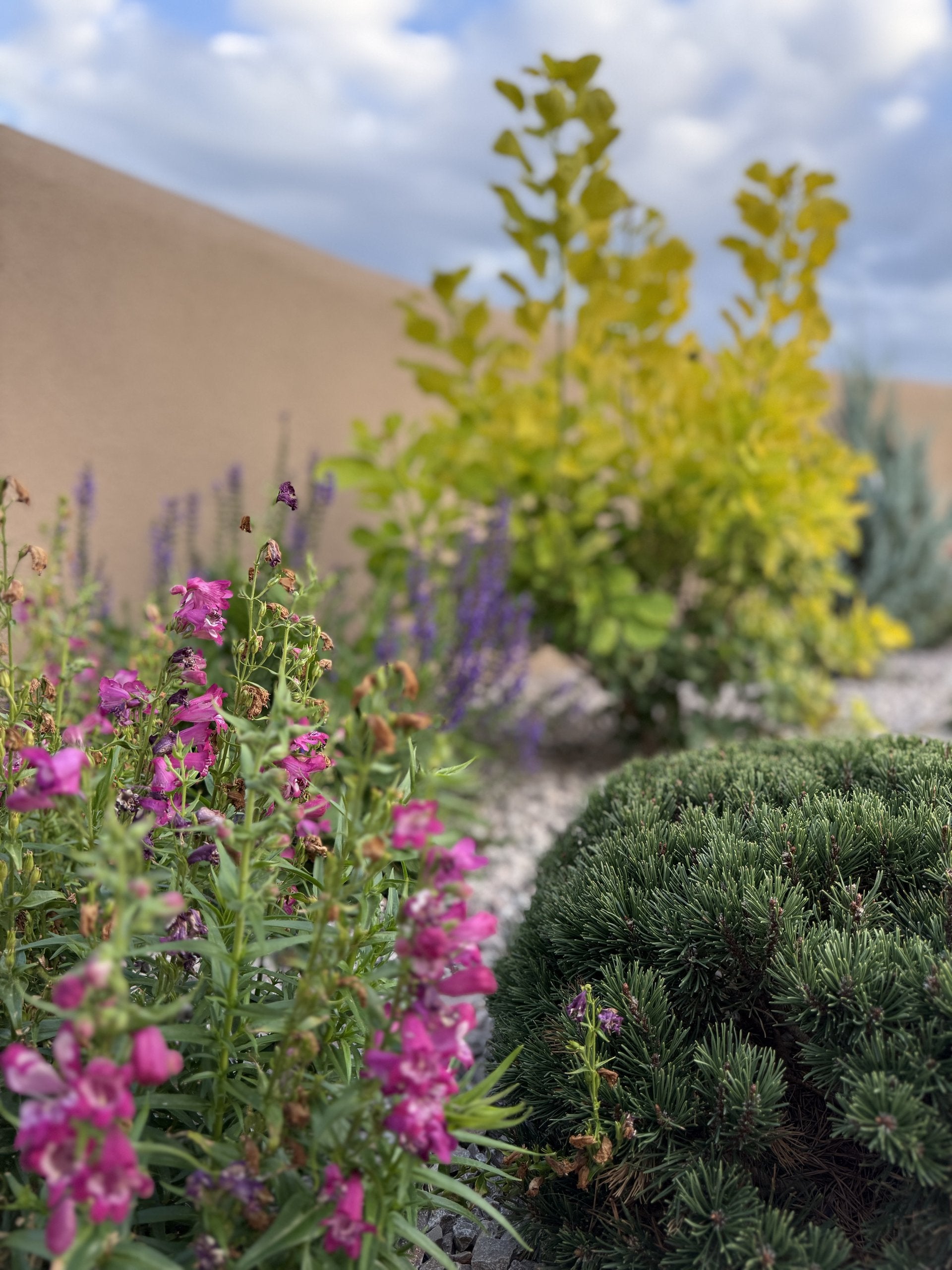 Sante Fe Garden Residence