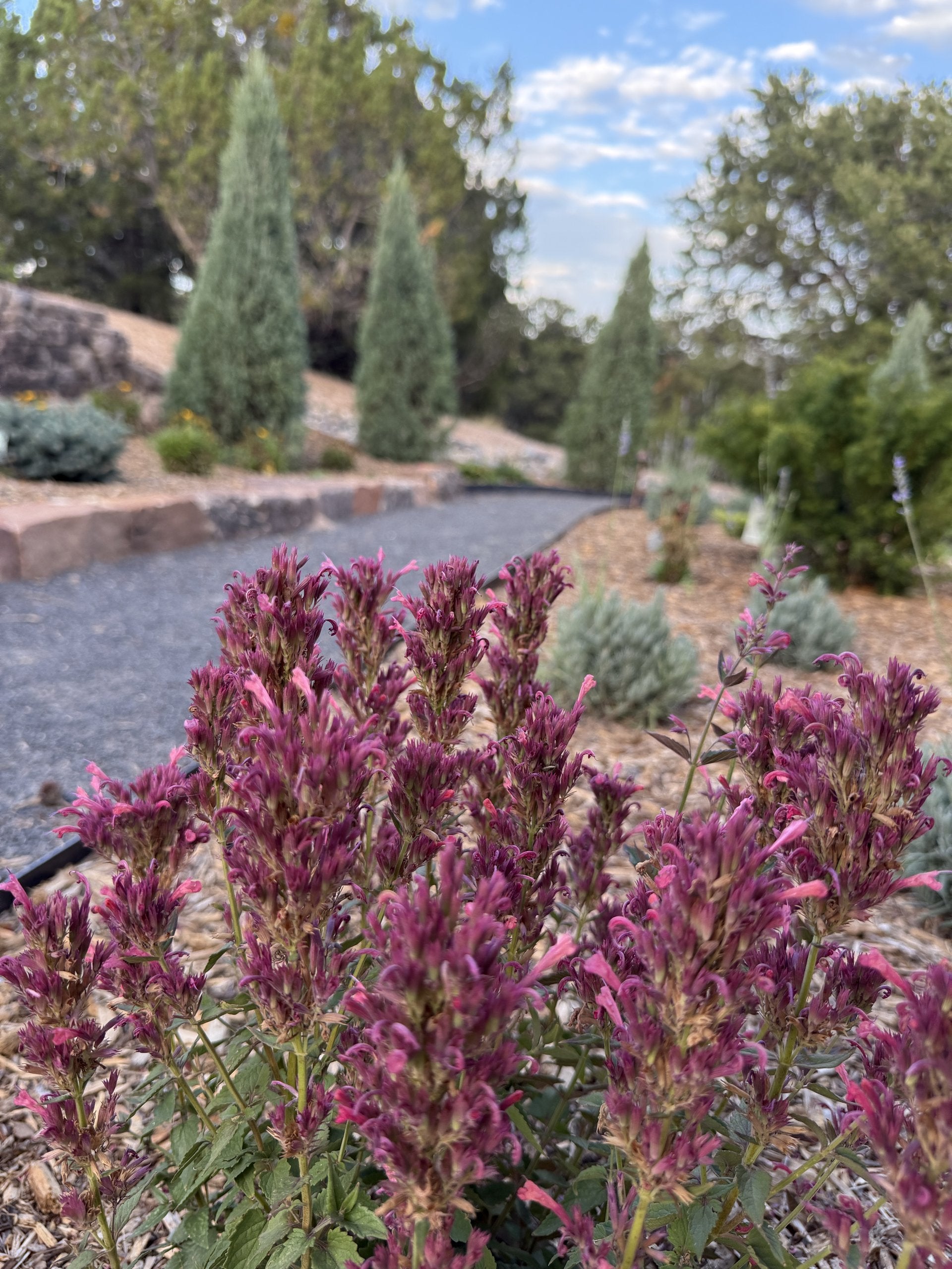 Sante Fe Garden Residence