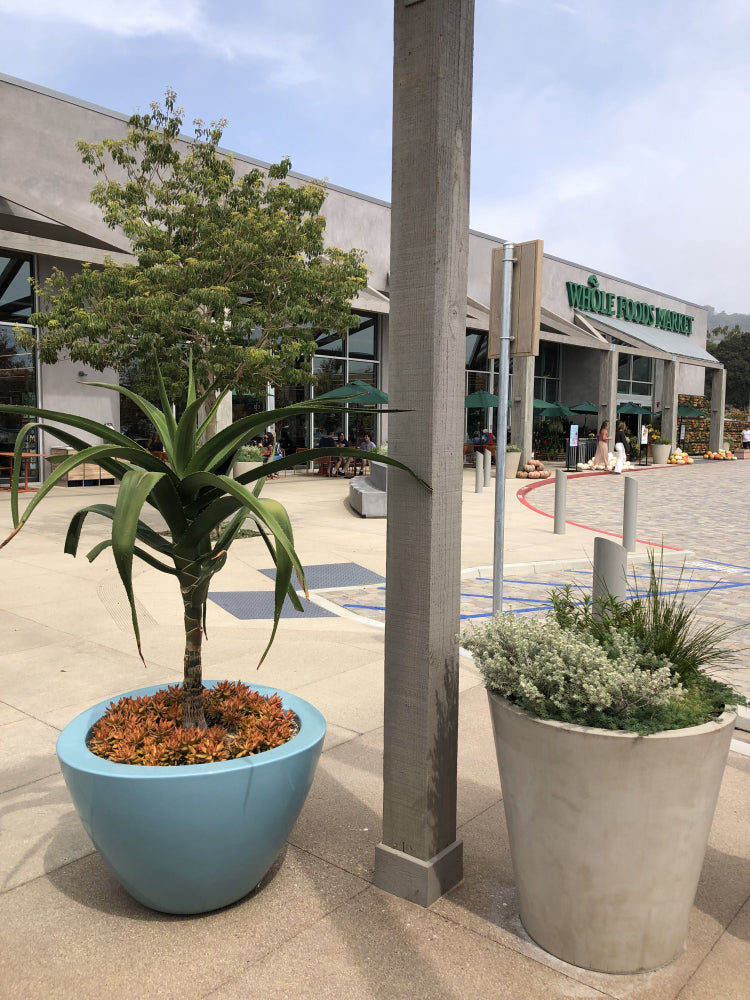 Whole Foods Malibu