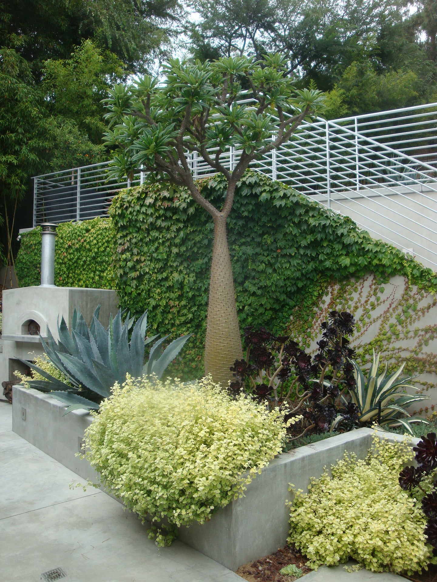 The Sculpted Garden