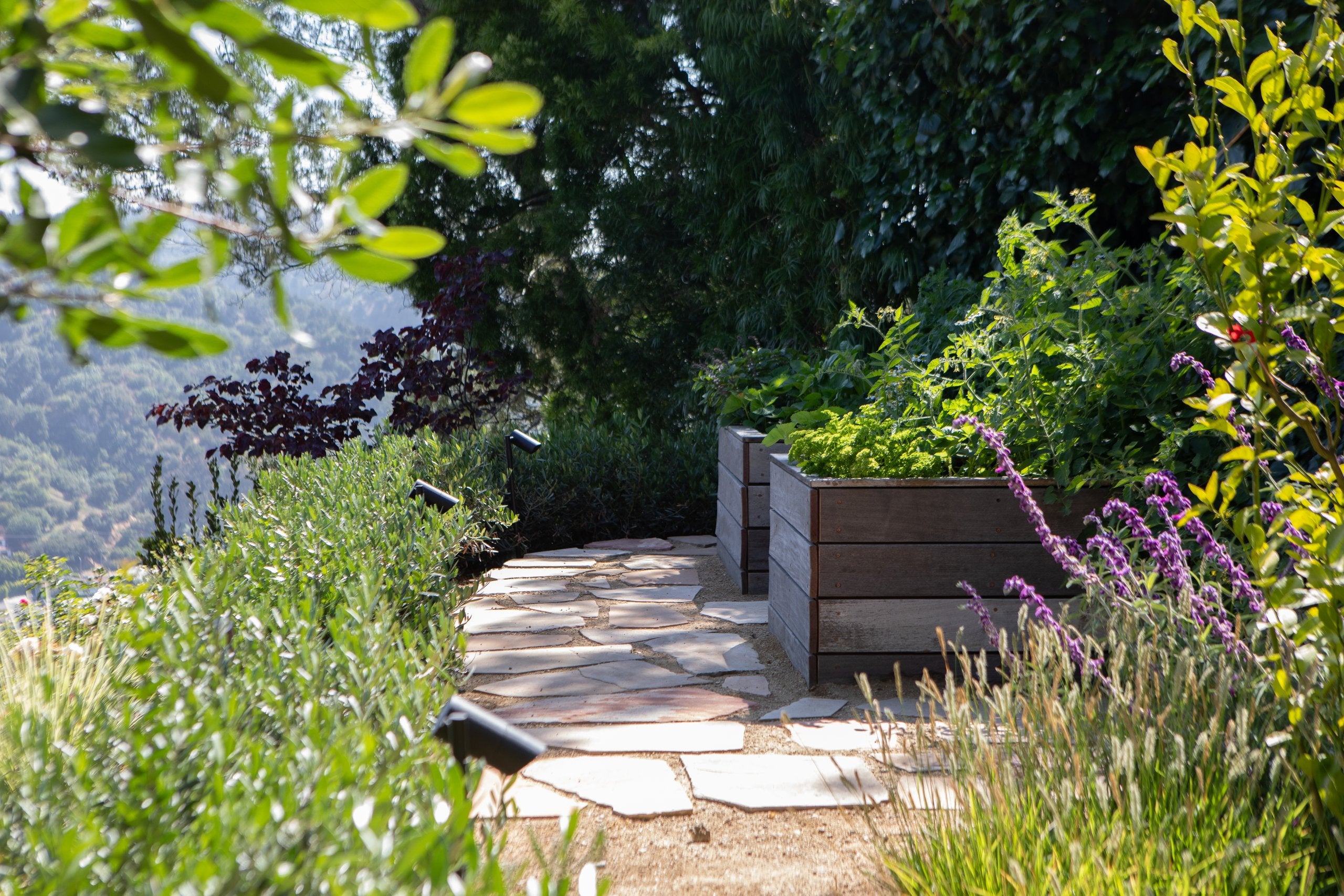 Torreyson Hillside Residence