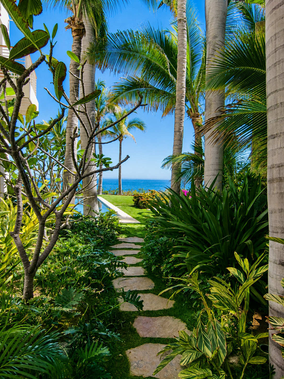 Ocean Courtyard Compound - Photo 3