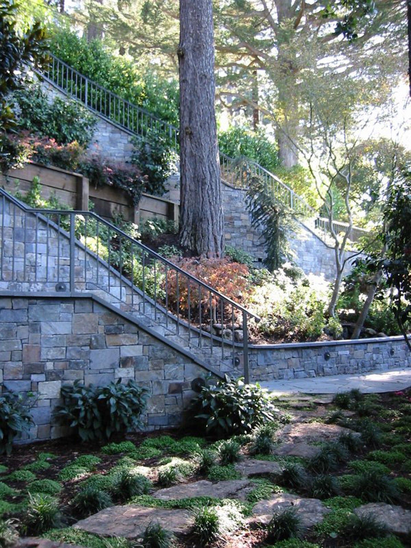Tiburon Garden