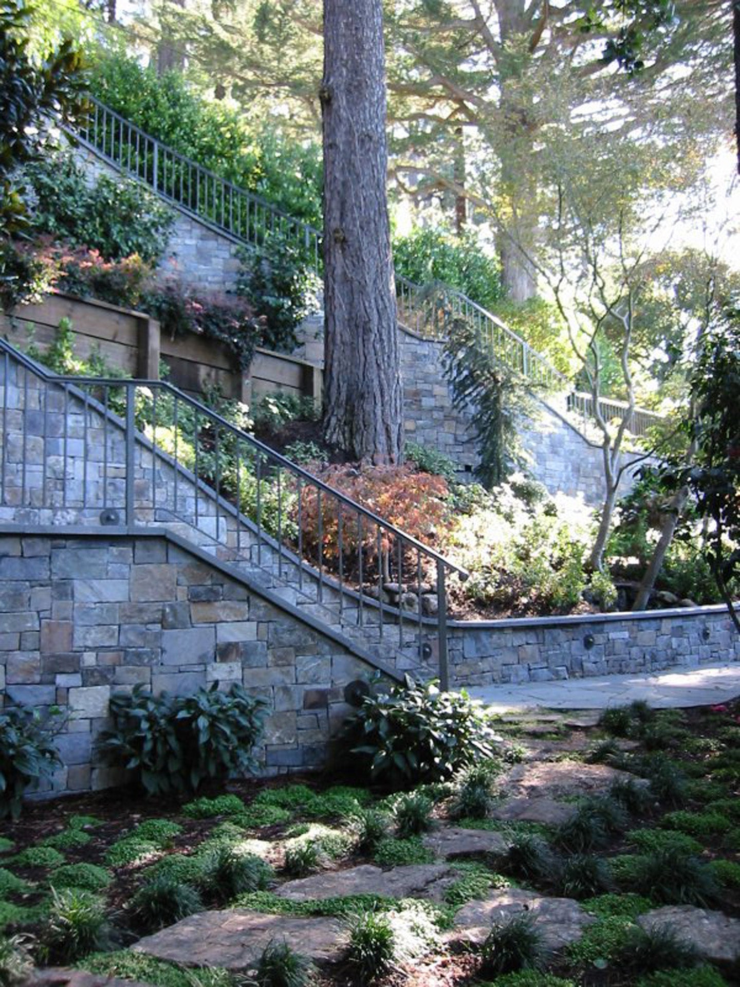Residential Garden Collection | Contemporary Garden Studies | California & Beyond